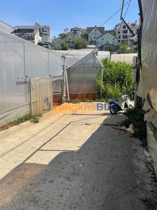 Đất nền Lý Nam Đế Đà Lạt 530m² 5.83 tỷ - Đường to ô tô