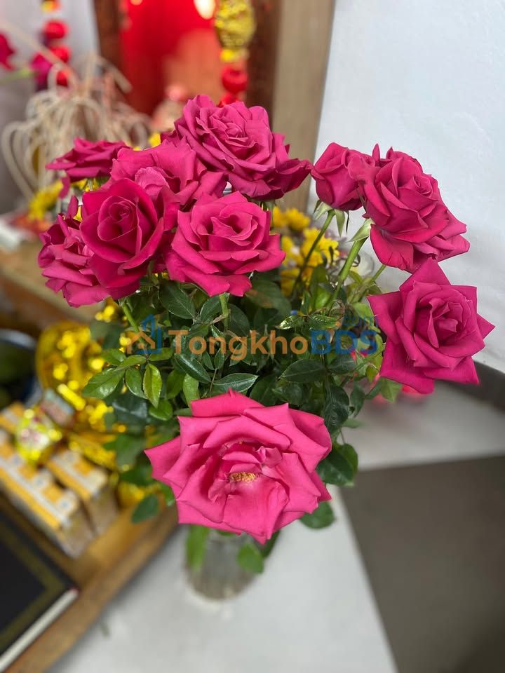 Nhà phố cho thuê Lê Đại Hành Thái Bình 135m² 28 triệu - Mặt tiền kinh doanh