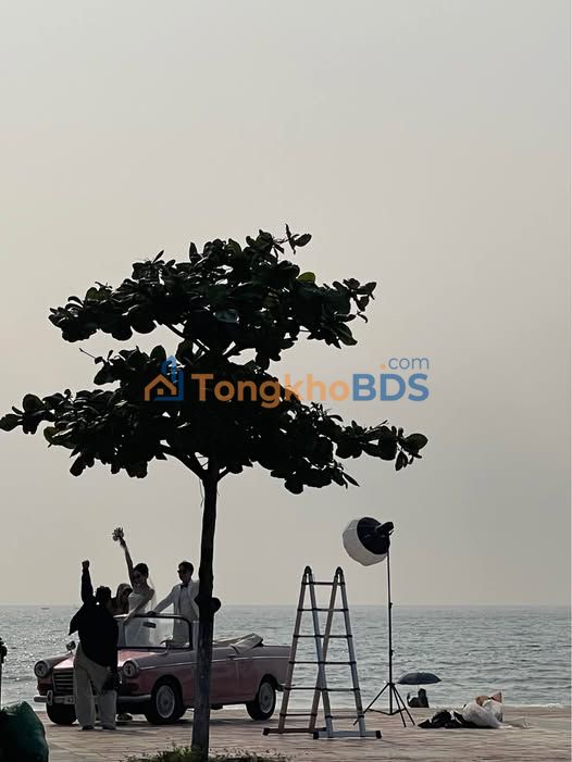 Đất Sơn Trà Lý Thánh Tông 412m² 70 tỷ - Đường to ô tô