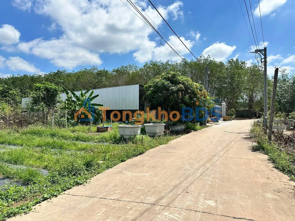 Đất nền Bàu Bàng 360m²/1.2 tỷ - Sổ đỏ chính chủ