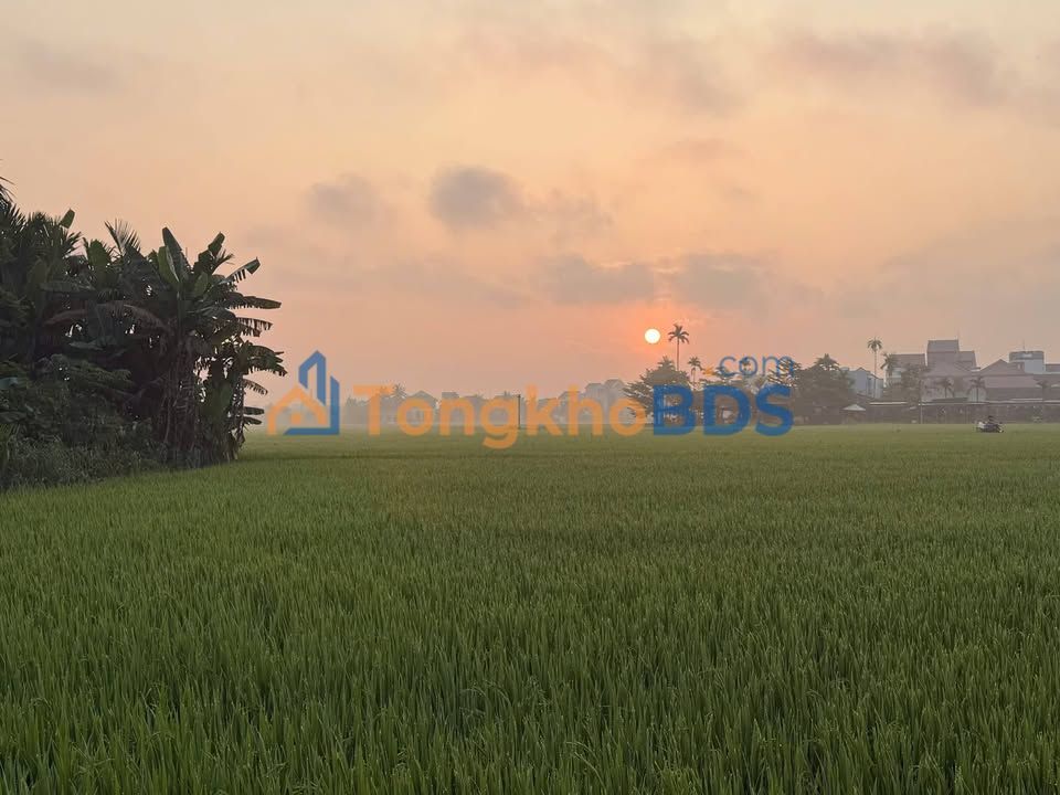 Townhouse Cẩm Châu Hội An 504m² 20 tỷ - Đầu tư sinh lời