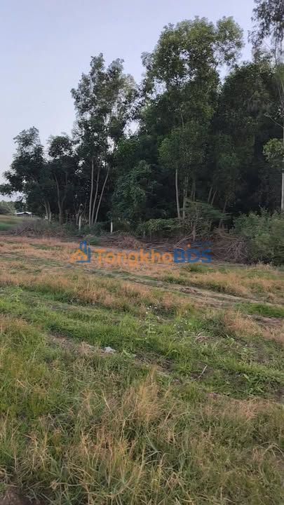 Đất thổ cư Long Điền 357m² 390 triệu - Sổ đỏ chính chủ