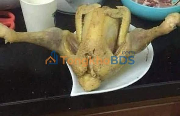 Đất nền An Bình A Hồng Ngự 13.000m² 1,885 tỷ - Pháp lý rõ ràng