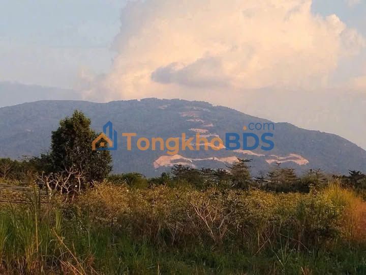 Đất Xuân Thọ 150m² giá 750 triệu - Sổ đỏ chính chủ