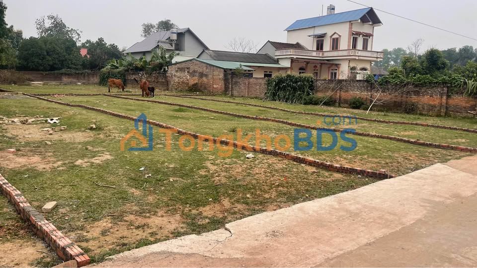 Đất nền Quang Châu 135-200m² giá thỏa thuận Sổ đỏ chính chủ