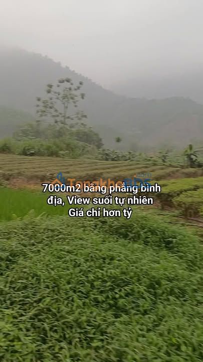 Đất vườn Hoàng Nông Đại Từ 7000m² - Nghỉ dưỡng lý tưởng