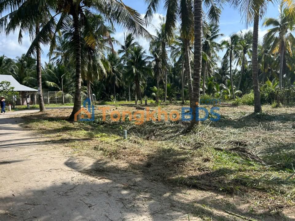 Đất nền Định Thủy Bến Tre 1.1 tỷ/1000m² - Xây dựng tự do