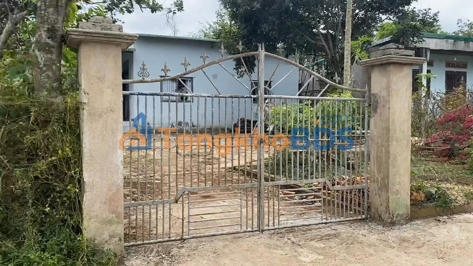 Đất Bình Tân Buôn Hồ 2.320m² 185.6 tỷ - Giá F0 CĐT