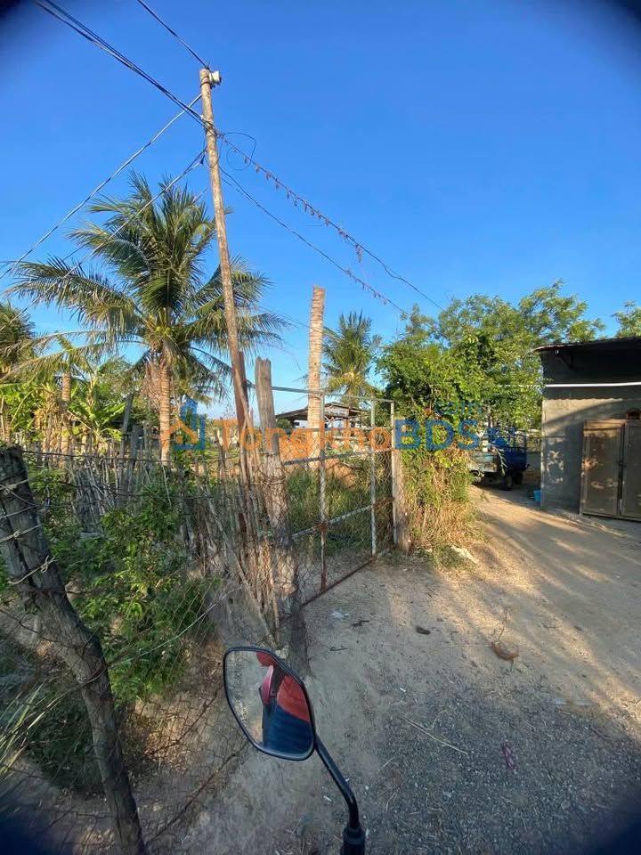 Đất nông nghiệp Phước Mỹ 250m², 690 triệu - Giá đầu tư tốt