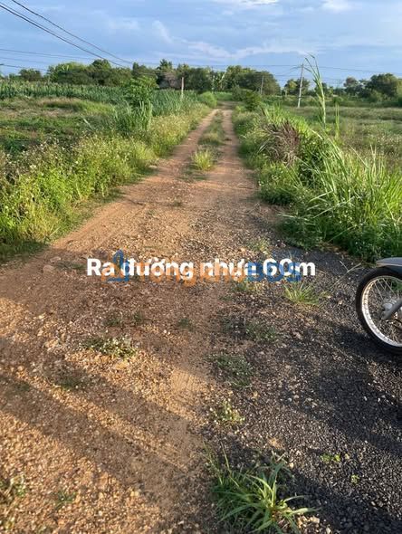 Đất thổ cư Krông Na 550m² 300 triệu - Sổ đỏ chính chủ