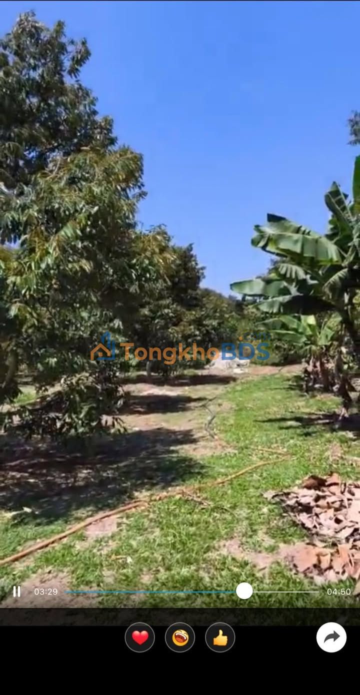 Farm Thôn 6 Tân Lạc 10.2 nghìn m² sổ đỏ chính chủ bán nhanh