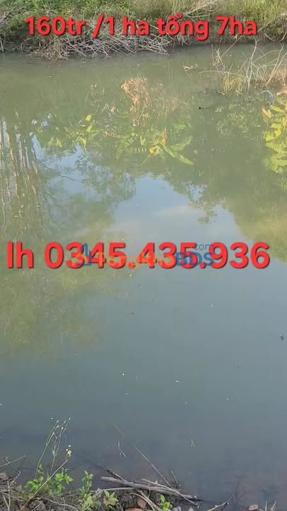 Đất nền Ia Lâu Chư Prông 7ha 1,12 tỷ - Pháp lý rõ ràng