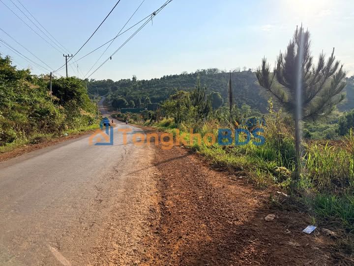 Đất nền Gia Nghĩa 1440m² giá thỏa thuận - Sổ đỏ chính chủ