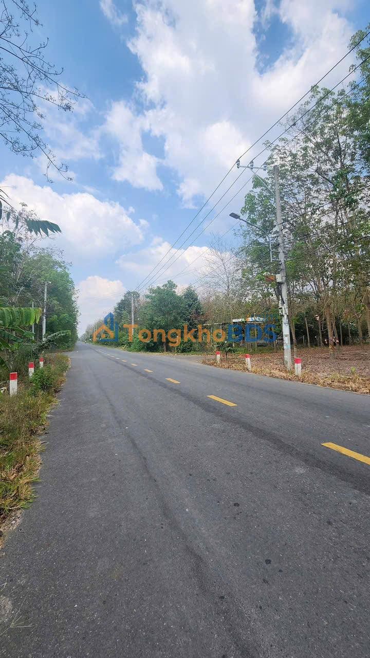 Đất vườn Bàu Bàng 13.900m2 giá 13,5 tỷ - Đầu tư dài hạn