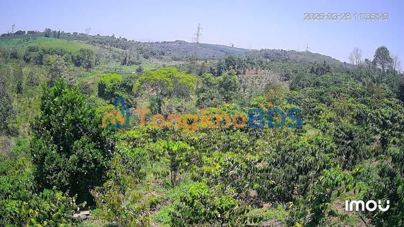 Farm Thôn 7 Đắk Ha 1800m² 2,4 tỷ - Sinh thái xanh