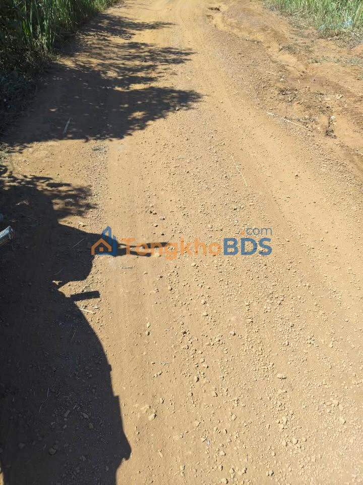 Đất nền Gia Nghĩa 5ha 1.1 tỷ - Đường to ô tô