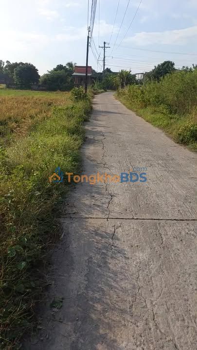 Đất nền An Ninh Tây 300m2 2.2 tỷ - Sổ đỏ chính chủ