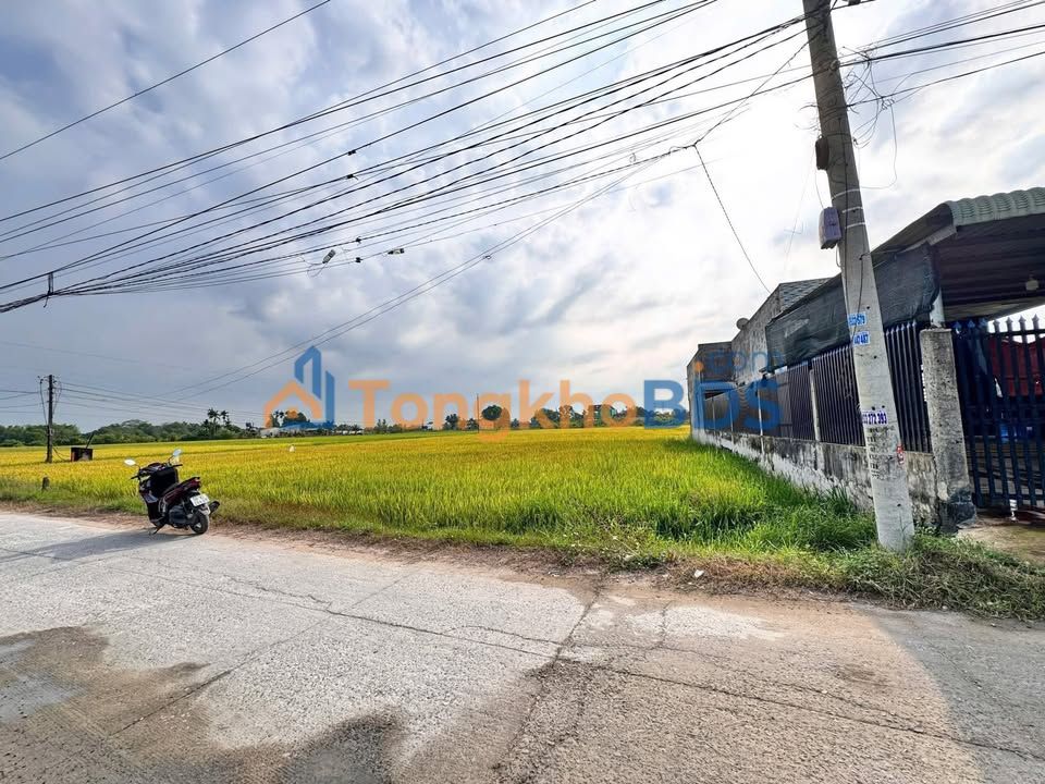 Đất nền Đức Hòa Hạ 280m² giá 1,75 tỷ - Sổ đỏ chính chủ