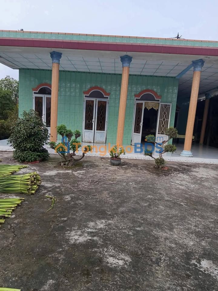 Đất vườn Thạnh Phước 2.587m² 1.2 tỷ - Sổ đỏ chính chủ