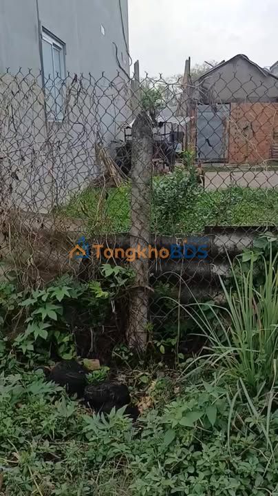 Đất nền Mỹ Hạnh Bắc 266m² 1,8 tỷ - Sổ đỏ chính chủ