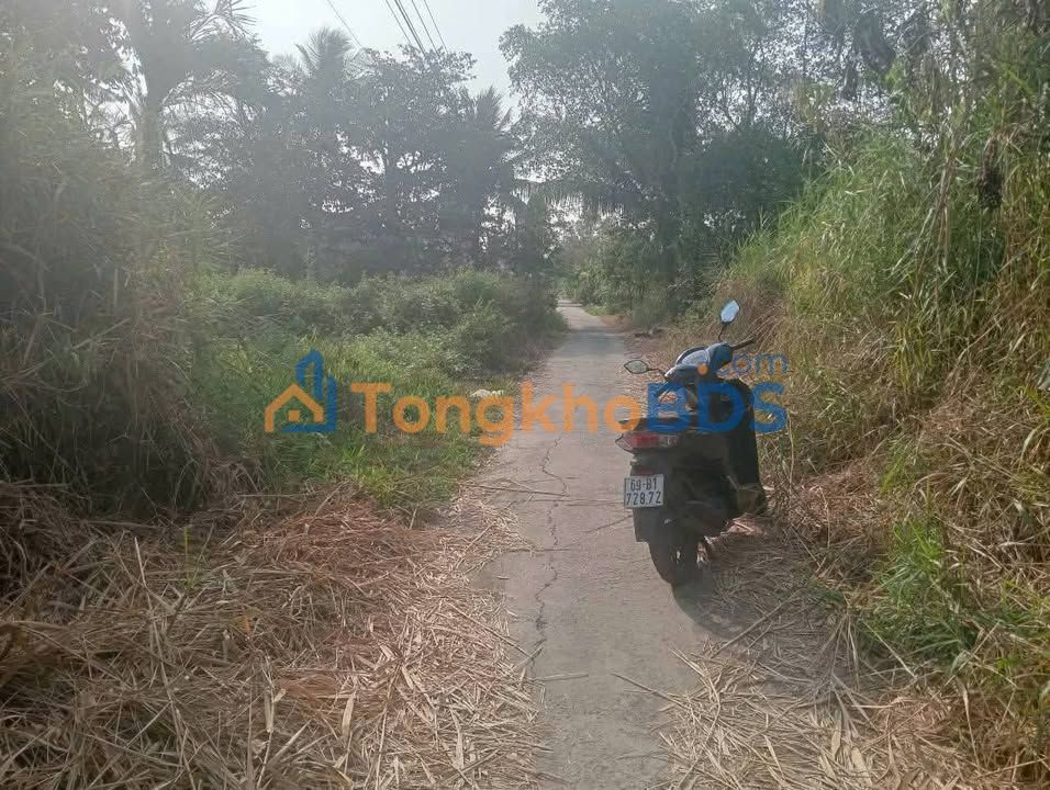 Đất vườn Lý Văn Lâm 3240m² giá 1.8 tỷ - Tiềm năng tăng giá