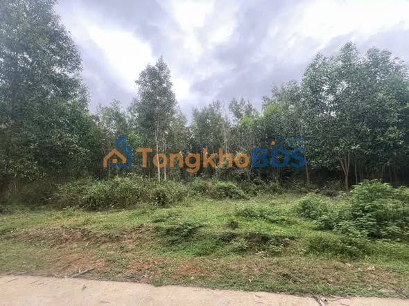 Đất Khánh Bình Khánh Vĩnh 2.400m² 399 triệu - Tiềm năng tăng giá