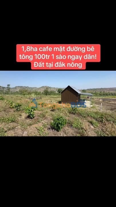Farm Thôn 5 Tầng Đắk R'La 1,8ha 5 tỷ - Sổ đỏ chính chủ