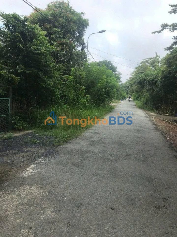 Đất nền Phú Hoà Đông Củ Chi 480m² 2.8 tỷ - Sổ đỏ chính chủ