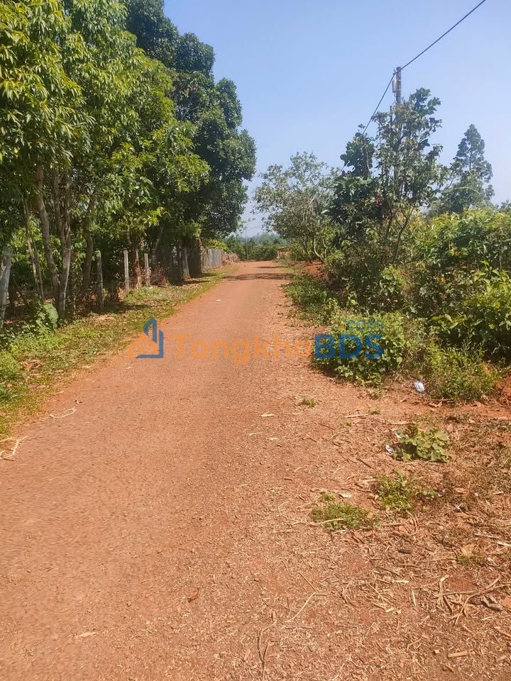 Đất nền Ia Hrung (Gia Lai) 750m² 22.5 tỷ - Sổ đỏ chính chủ