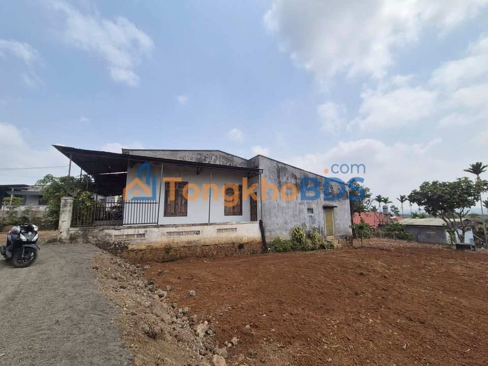 Đất nền An Phú Pleiku 80m² 510 triệu - Hẻm ô tô