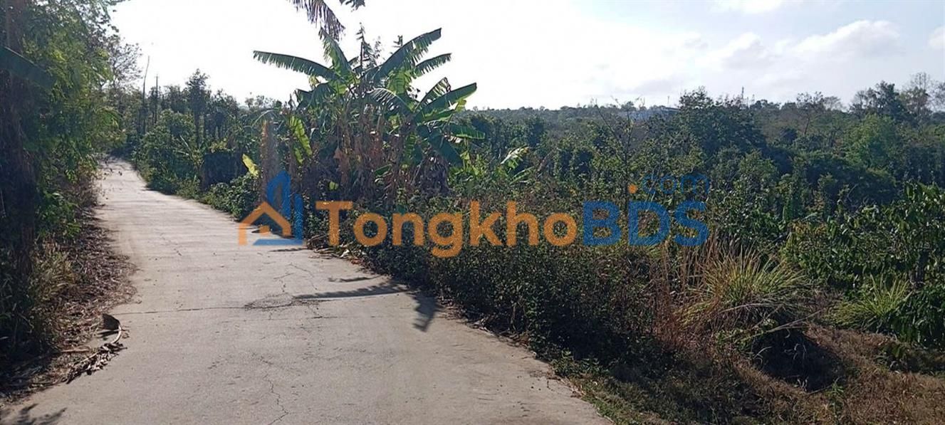 Đất Cư Êbur Buôn Ma Thuột 4.583m² 3 tỷ - Đường to ô tô