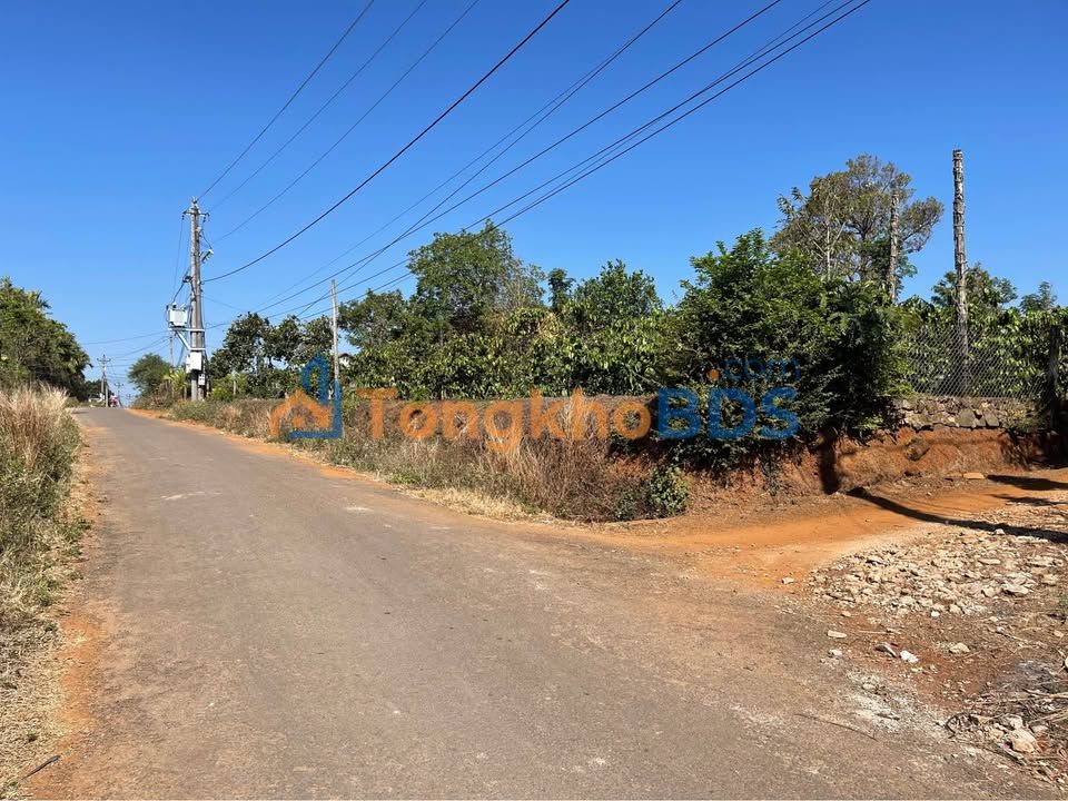 Đất nền Ea Ning Cư Kuin 1.180m² 63.72 tỷ - Sổ đỏ chính chủ