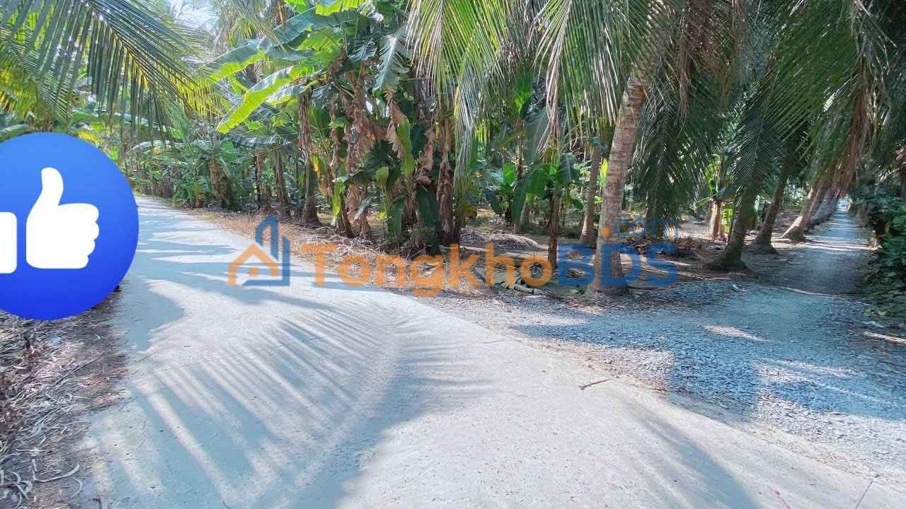 Đất nền Xuân Đông 100m2 2xx triệu - Sổ đỏ chính chủ