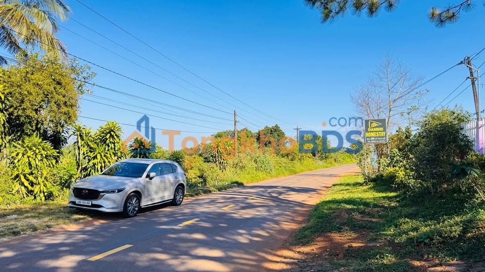 Đất Lý Thái Tổ Bảo Lộc 2.690m² 8.9 tỷ - Thổ cư 100%