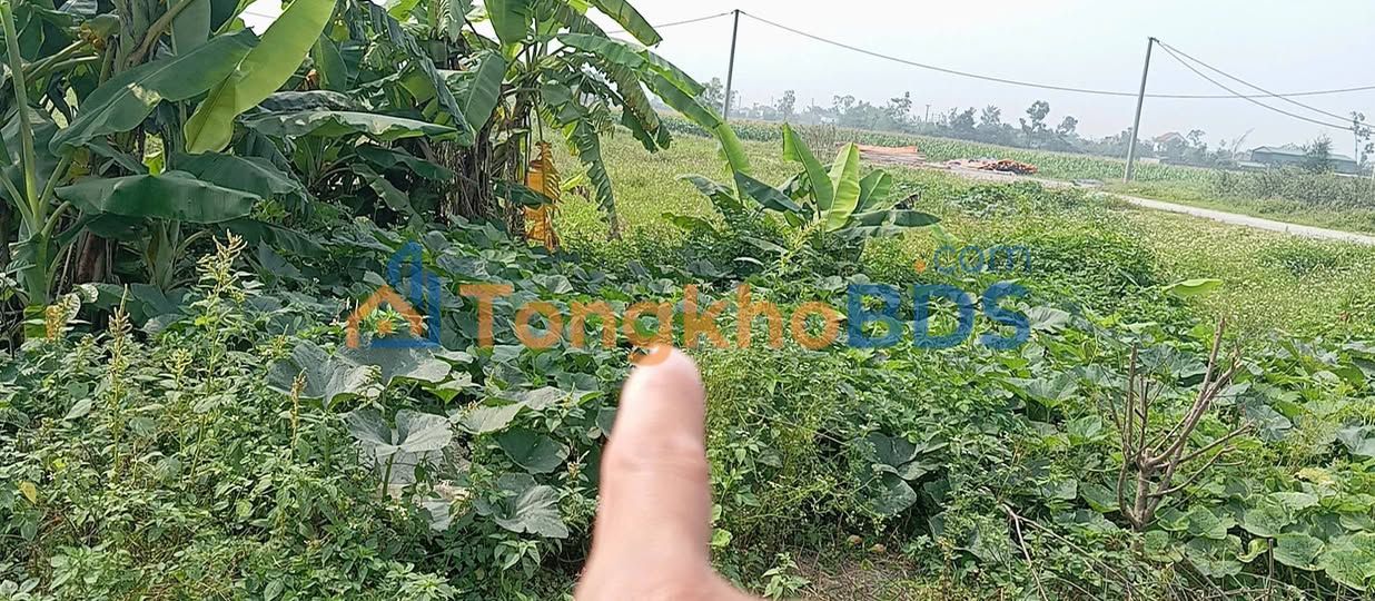 Đất nền Quốc lộ 48E, Nghi Lộc 200m²/5.6 tỷ - Tiềm năng tăng giá