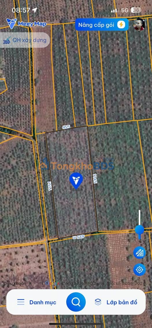 Đất nền Khánh Xuân 4.924m² 8,89 tỷ - Đường ô tô