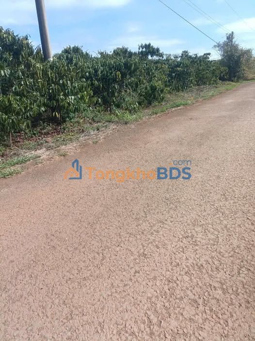 Đất nền Thôn 9 Lộc Ngãi 10.000m² 6,5 tỷ - Đất thổ cư 100%