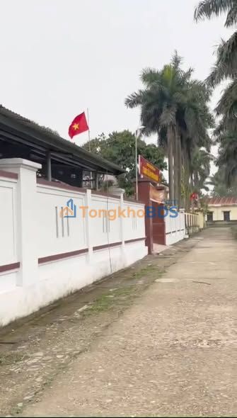 Đất nền Lâm Thao 168m² Đất thổ cư 100%