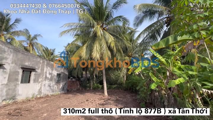 Đất Tân Thới Tân Phú Đông 310m² 1.3 tỷ - Sổ đỏ chính chủ