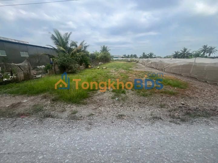 Farm Long Cang Cần Đước 998m² 1.5 tỷ - Giá đầu tư tốt