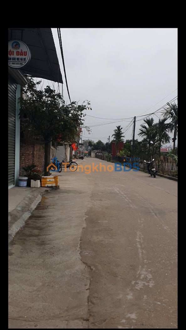 Đất Tam Đa Yên Phong 100m² 1,9 tỷ - Đường ô tô
