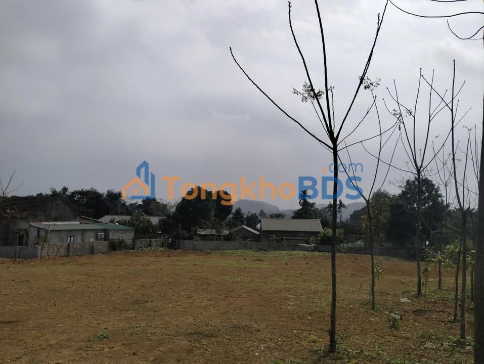 Đất nền Yên Bình Thạch Thất 1.400m² - Sổ đỏ chính chủ