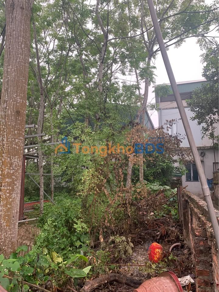 Đất thổ cư Quảng Bị 95m² hơn 1 tỷ - Sổ đỏ chính chủ