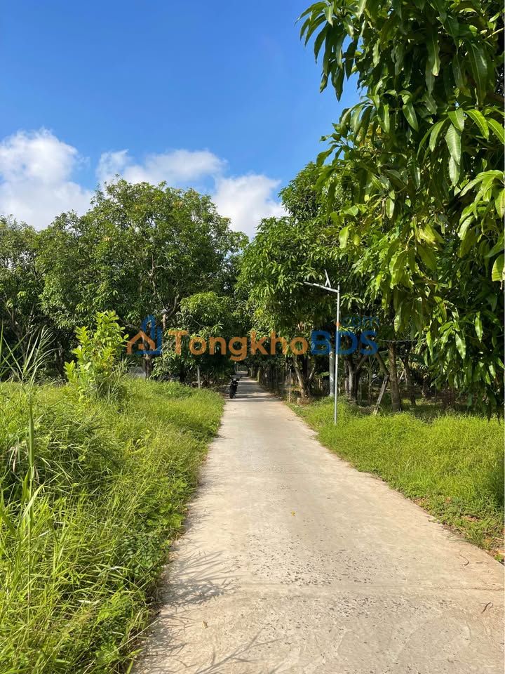 Đất nền Tân Thuận Tây 115m² giá 490tr - Hạ tầng hoàn thiện