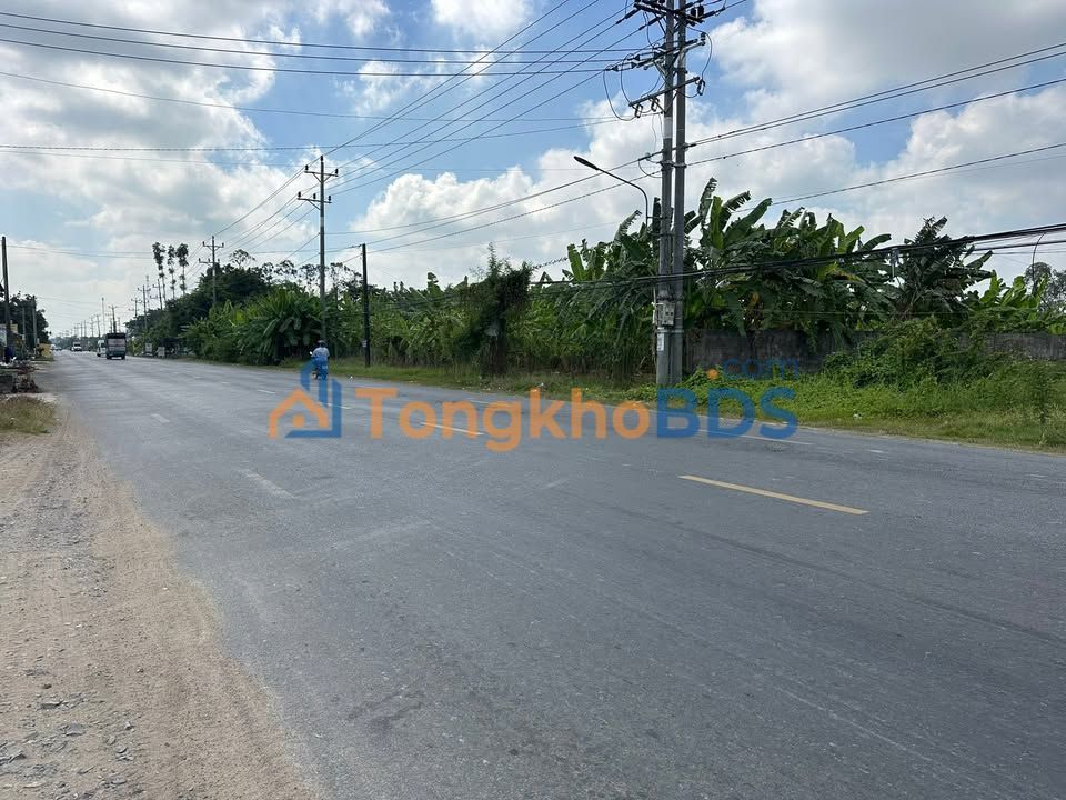 Đất nền Lấp Vò QL80 1.539m² 4,617 tỷ - Sổ đỏ chính chủ