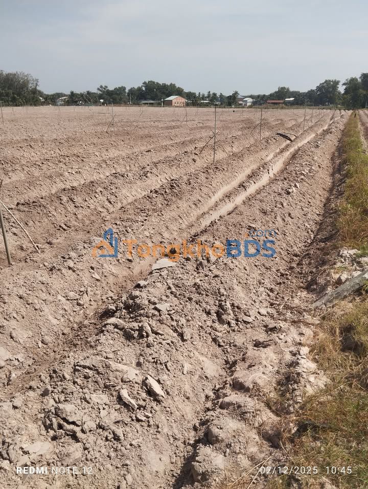 Đất nền Thạnh Tây Tân Biên 52.880m² 4.65 tỷ - Sổ đỏ chính chủ