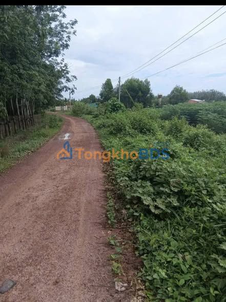 Đất vườn Phước Vinh Tây Ninh 3.9ha 3.9 tỷ - Đầu tư dài hạn