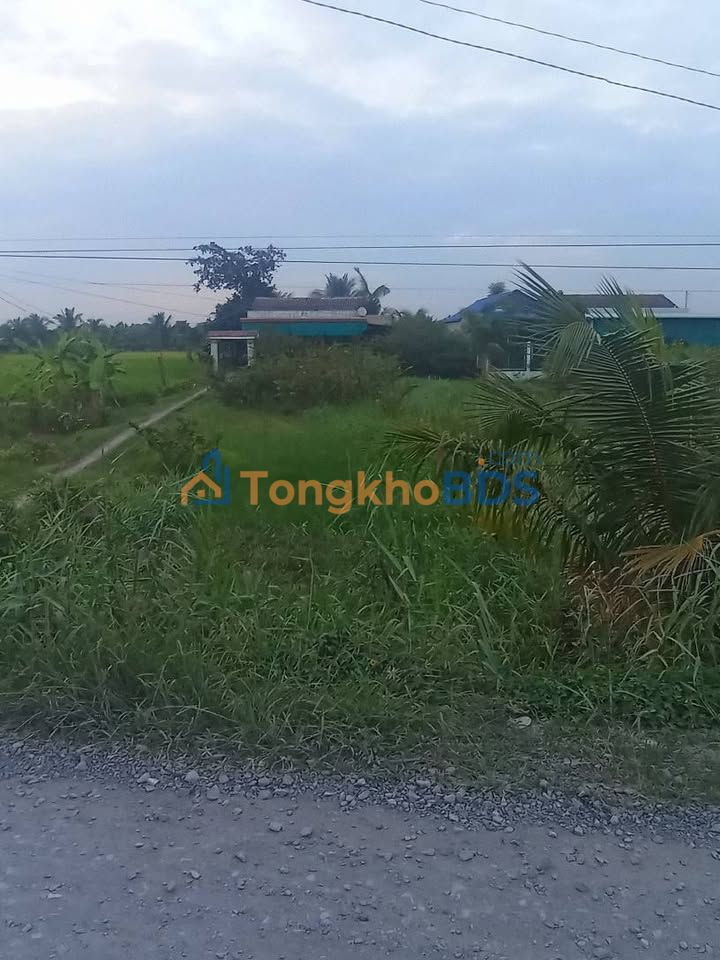 Đất nền Mỹ Phú Thủ Thừa 1.438m² 2 tỷ - Đường to ô tô