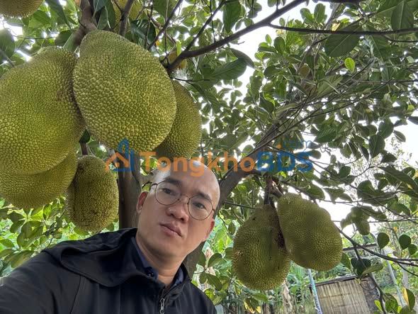 Nhà riêng Tân Bình 60m² giá 7,2 tỷ - Giá tốt hiếm có