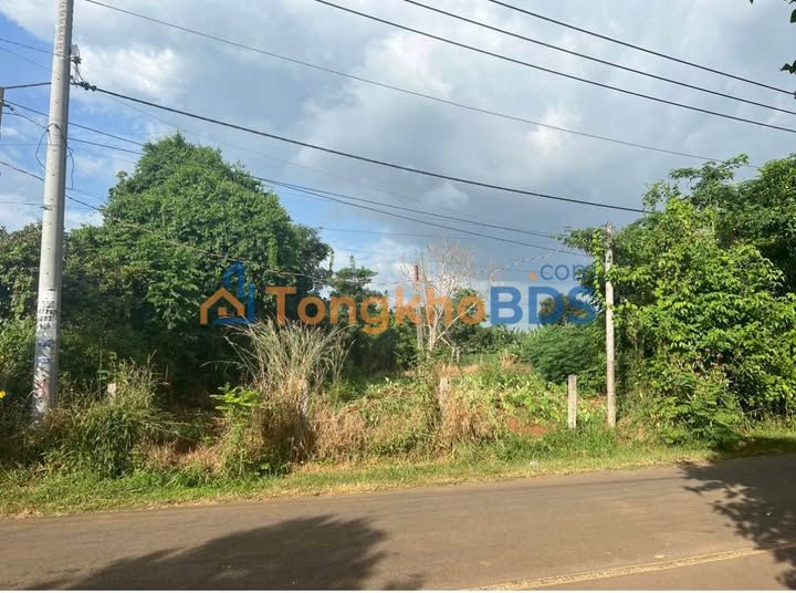 Đất nền 765B Cẩm Mỹ 1000m² - Sổ đỏ chính chủ